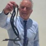 BBC